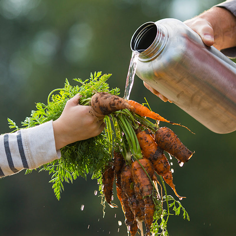 64oz-wide-with-loop-cap-m6 64oz_wide_mouth_bottle_carrots_rinse_square.jpg