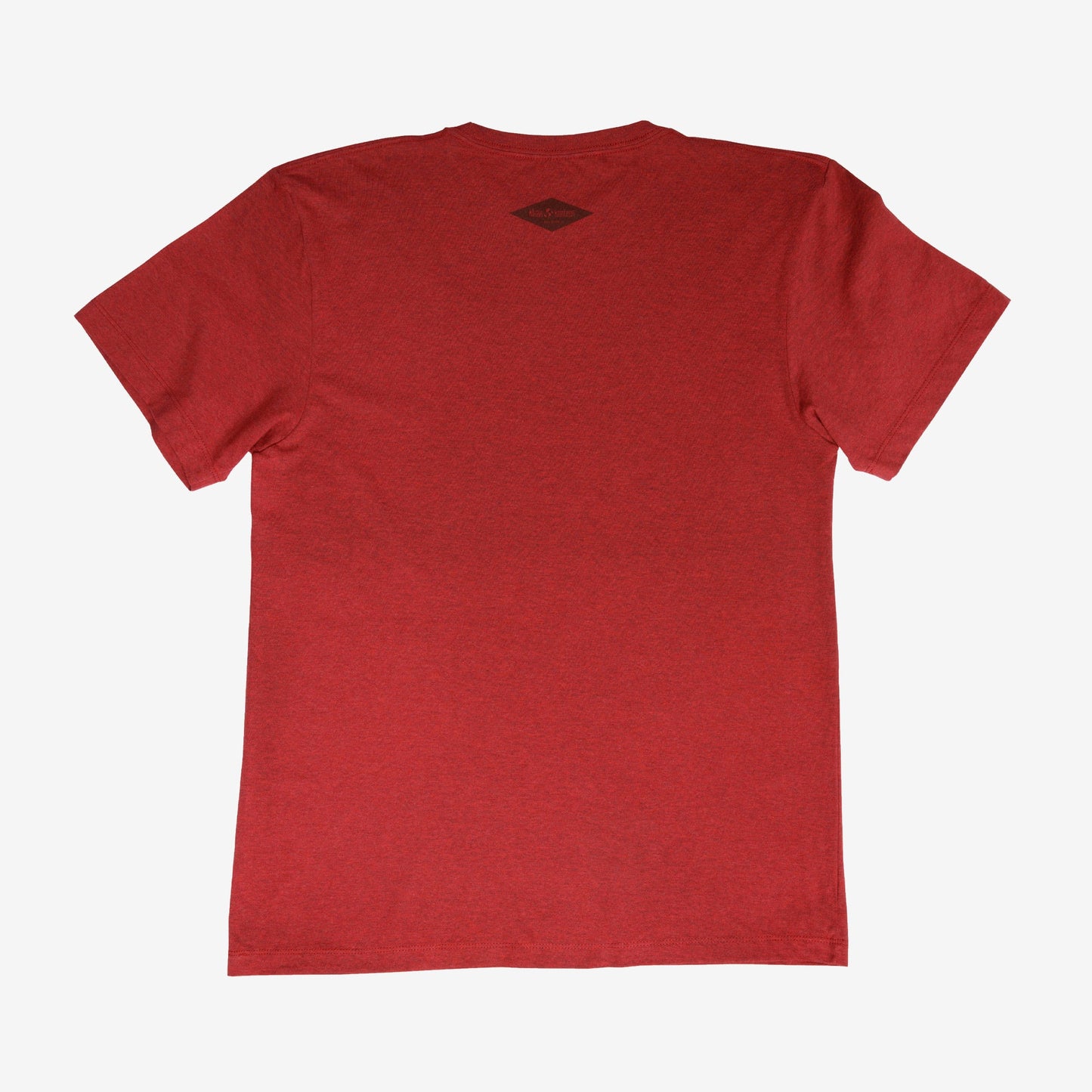backyard-t-shirt-b2 Shirt_Mtn_Back.jpg